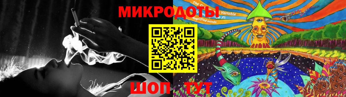 Псилоцибиновые грибы Psilocybine cubensis Майский